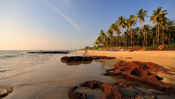 A beach with rocky formations, palm trees, and a clear sky.
