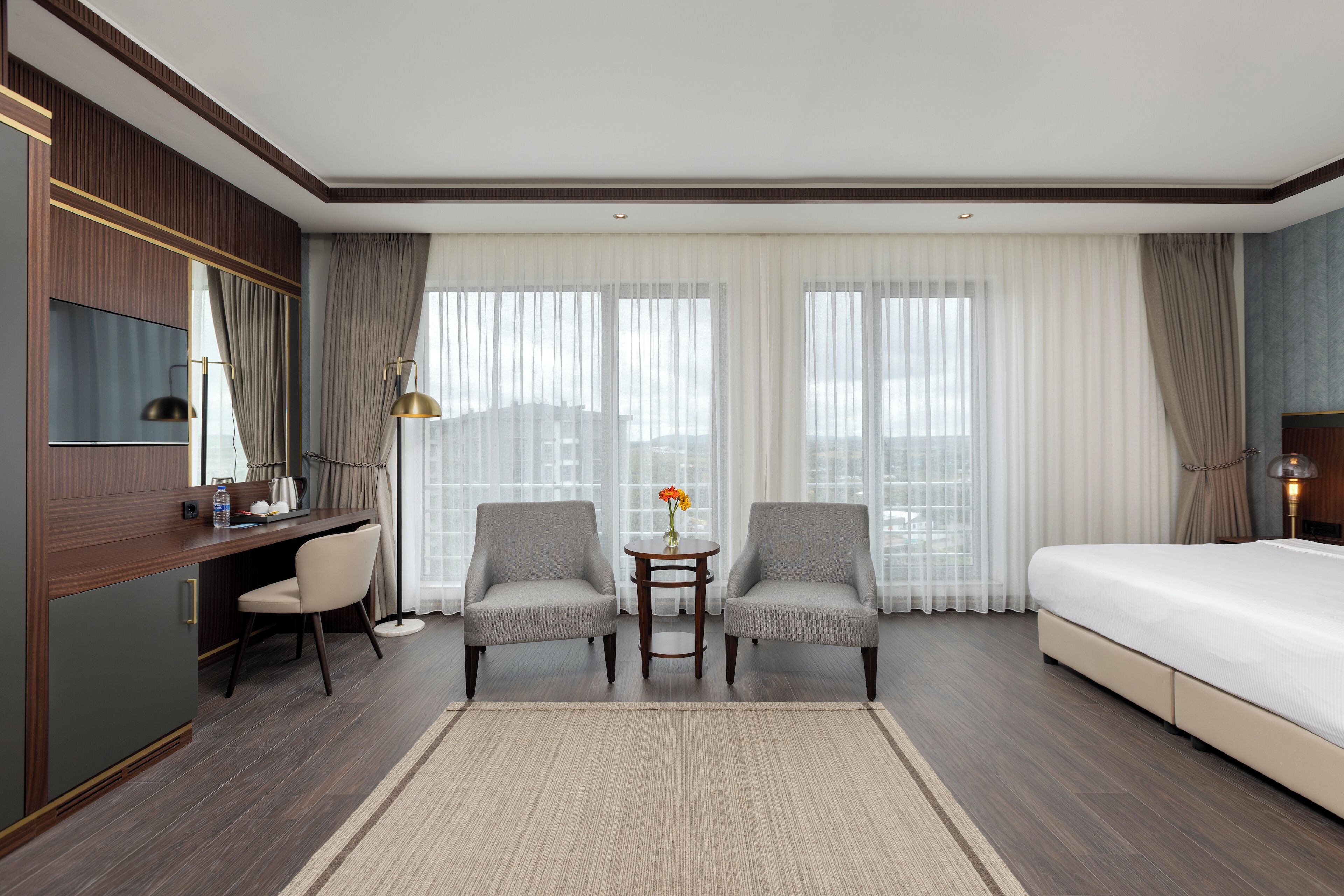 premium suite room | view from room
