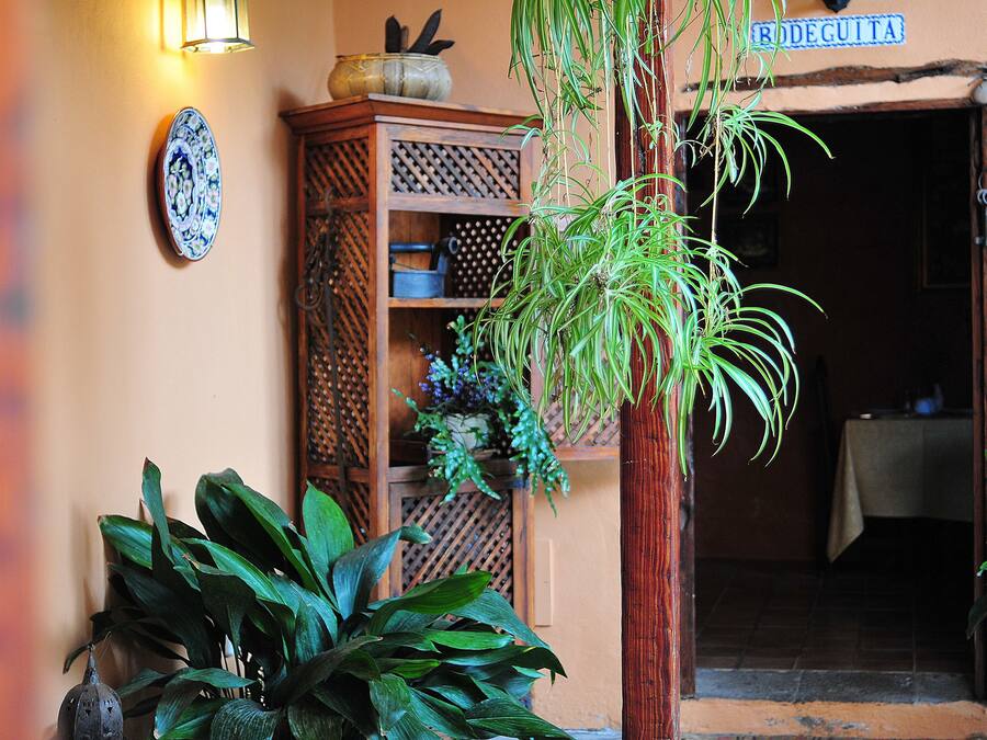 Una puerta con un cartel que dice "BODEGUITA", un mueble de madera con estantes y varias plantas en macetas.