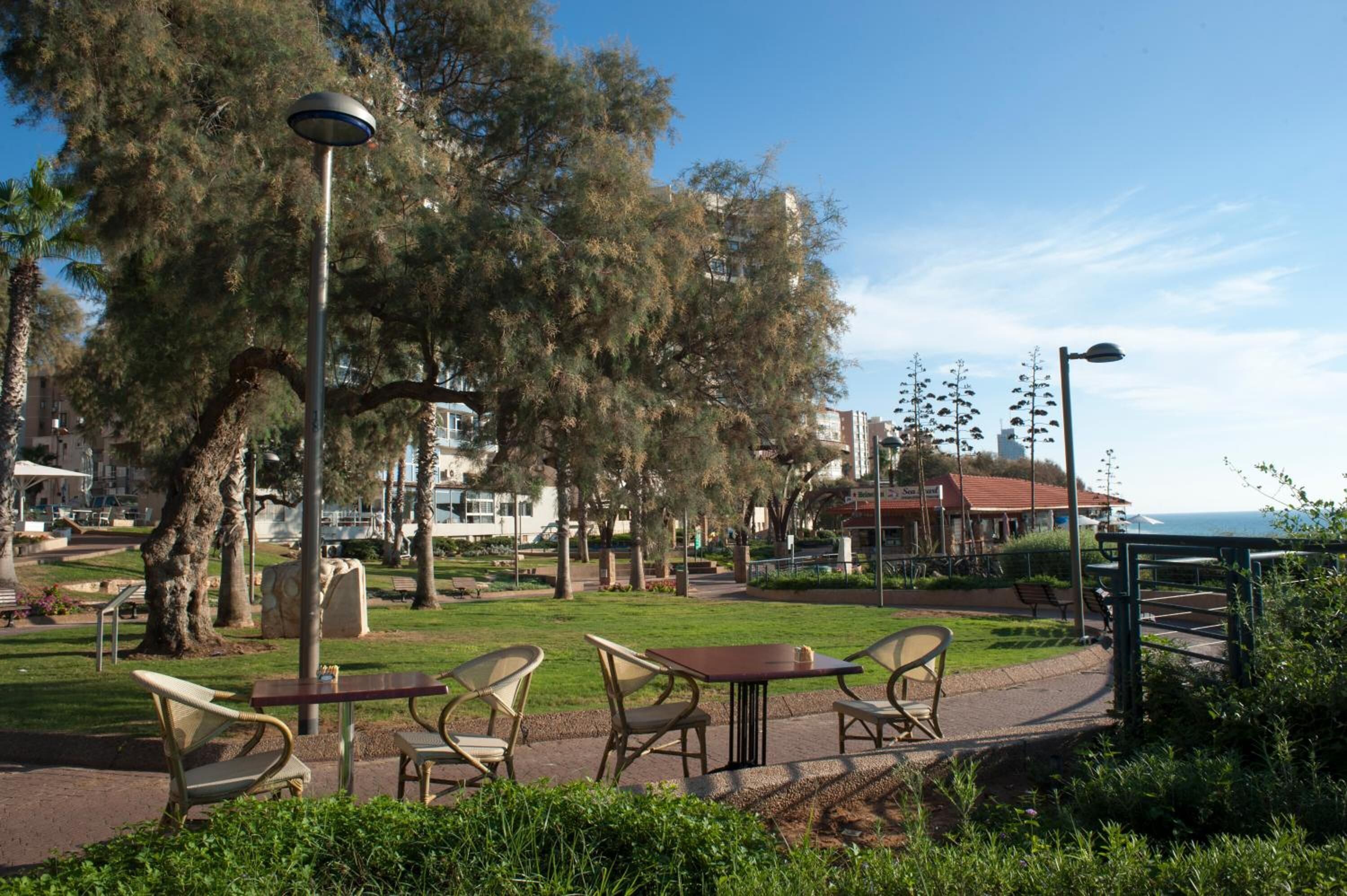 A park with outdoor seating, trees, and a clear sky.