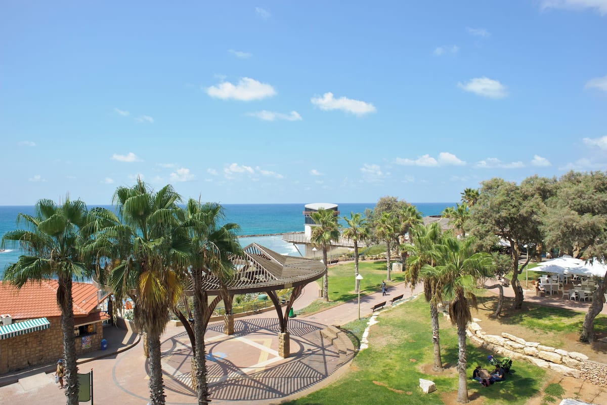 A coastal park with a gazebo, palm trees, and a view of the sea.