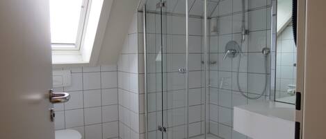 A modern bathroom with a glass-enclosed shower, a toilet, and a skylight.