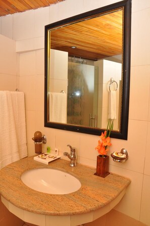 Shower, free toiletries, hair dryer, bathrobes