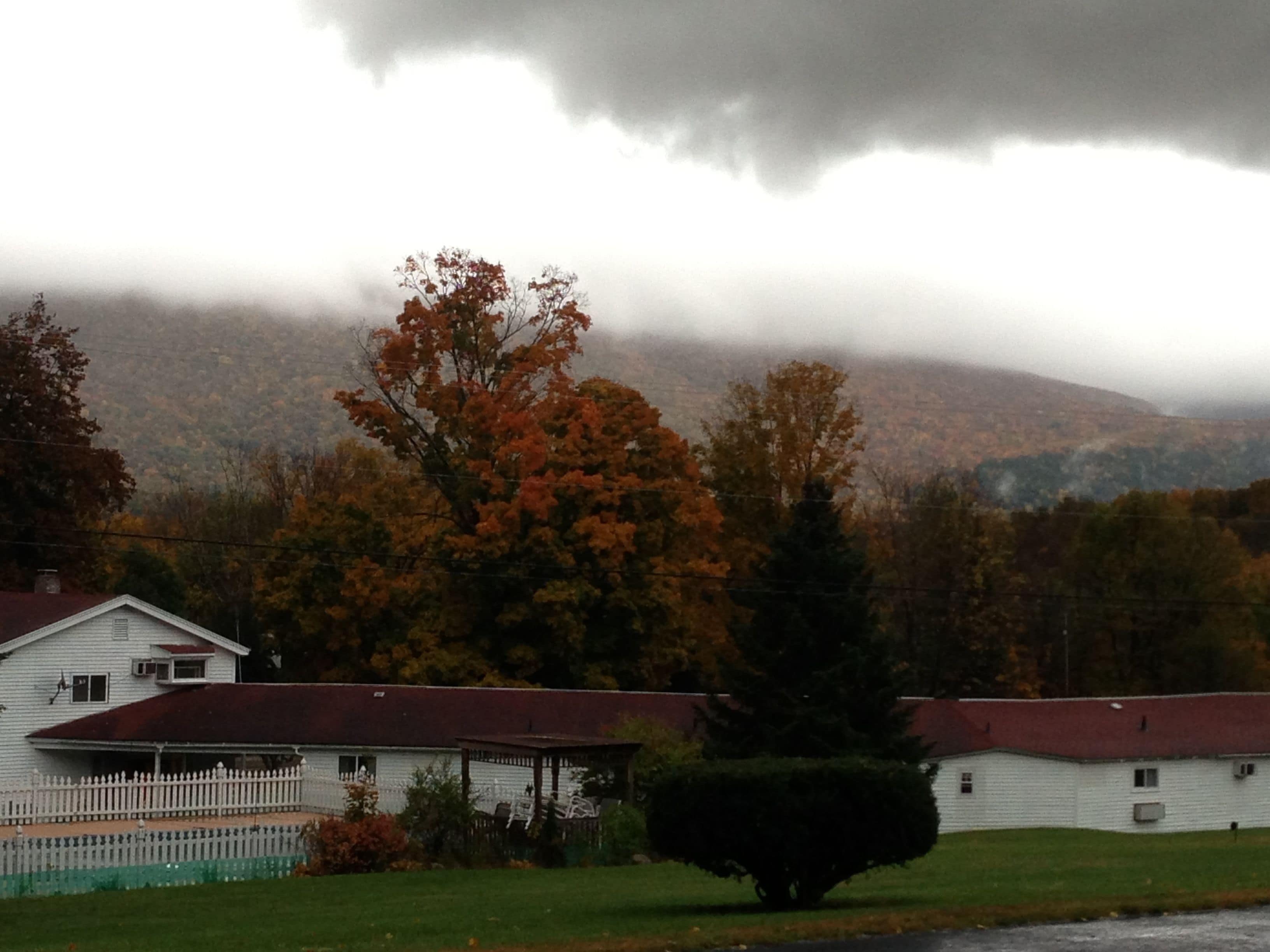 View from property