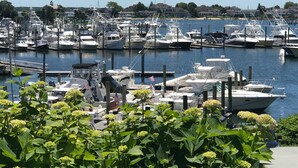 A marina with multiple boats docked, surrounded by residential houses and greenery. - Anchor In Distinctive Waterfront Lodging (Hyannis)