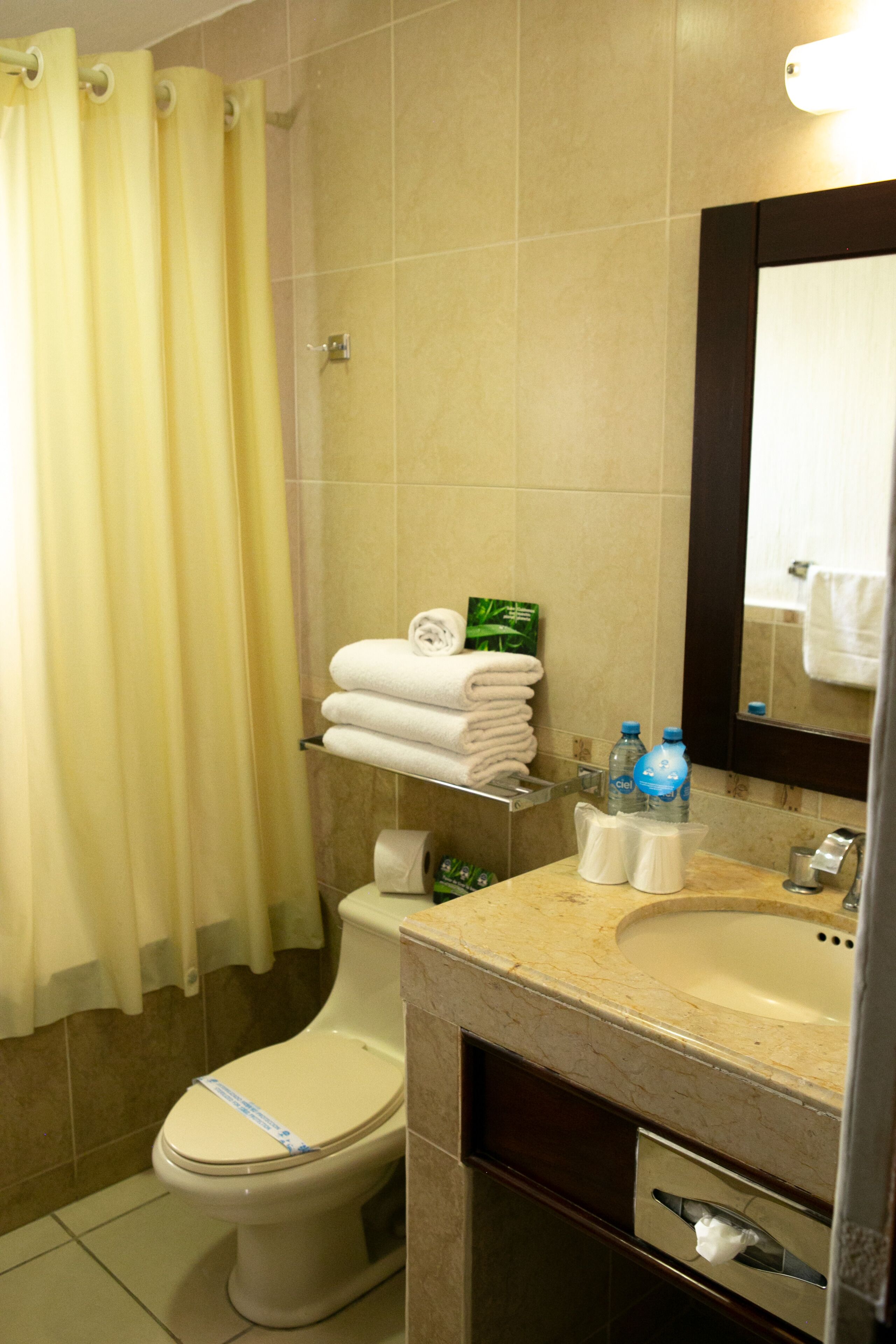 A bathroom with a toilet, a sink, a mirror, and a shower curtain.