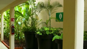 A corridor with potted plants, a fire extinguisher, and a green sign on the wall.