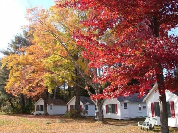 Property grounds - The Cabins at Autumn Mountain Winery (Brandon)