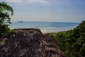 Vue sur la plage ou l’océan