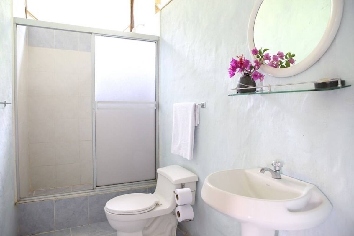 Shower, towels, soap, toilet paper