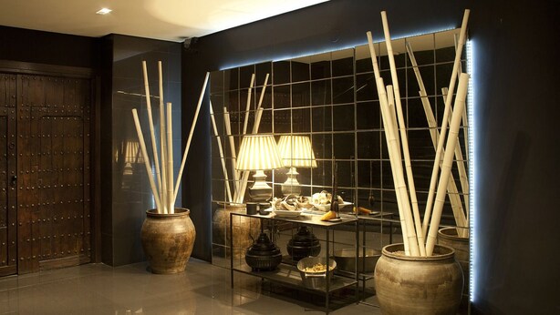 A modern interior with a dark wall, a wooden door, and two large vases with bamboo sticks. - Hotel Ruta de Europa (Vitoria-Gasteiz)