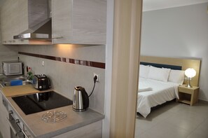 ثلاجة/مجمد بحجم كبير، ميكروويف، موقد طهي مسطح، غسالة أطباق