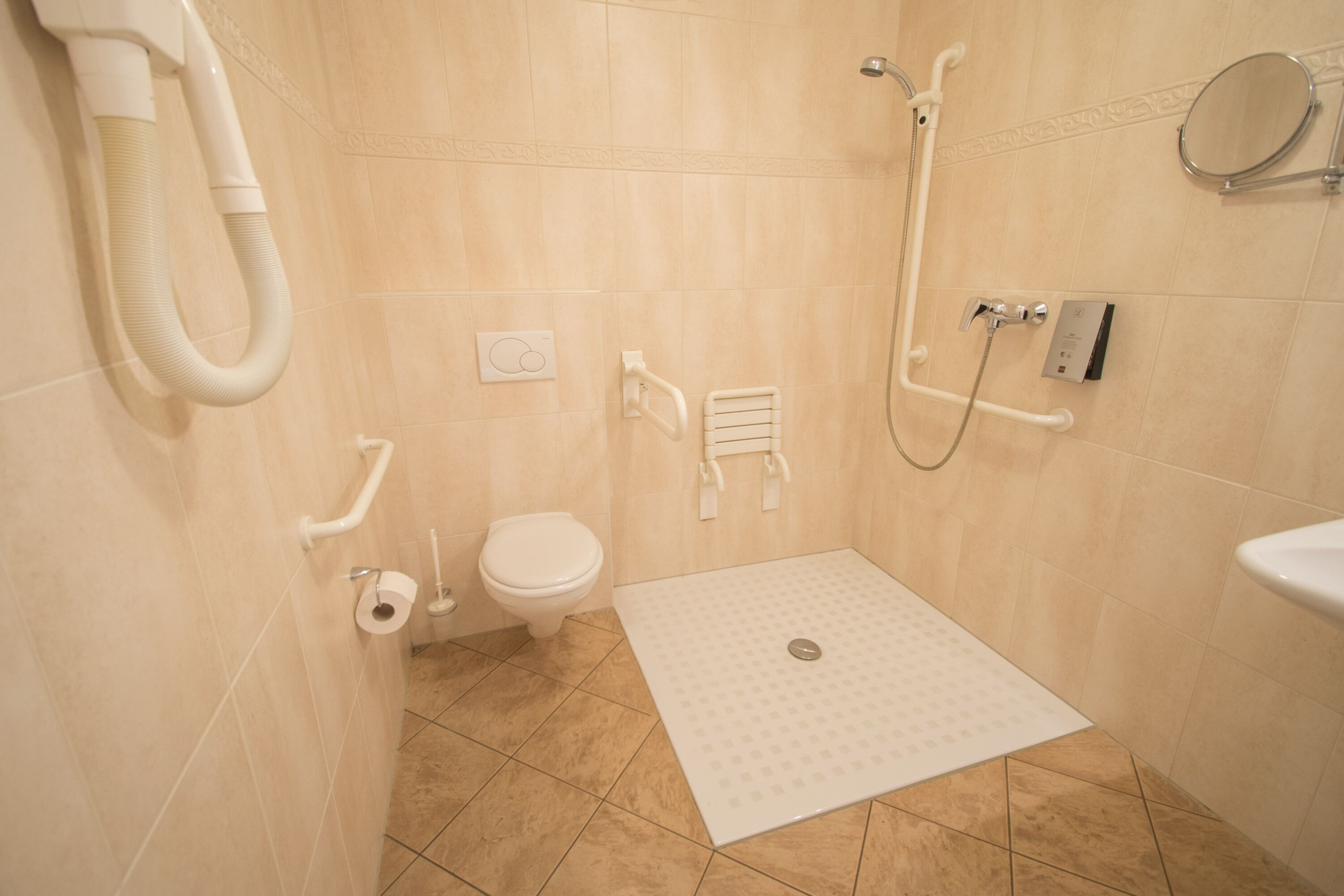 A small, modern bathroom with a shower, toilet, and a handrail.