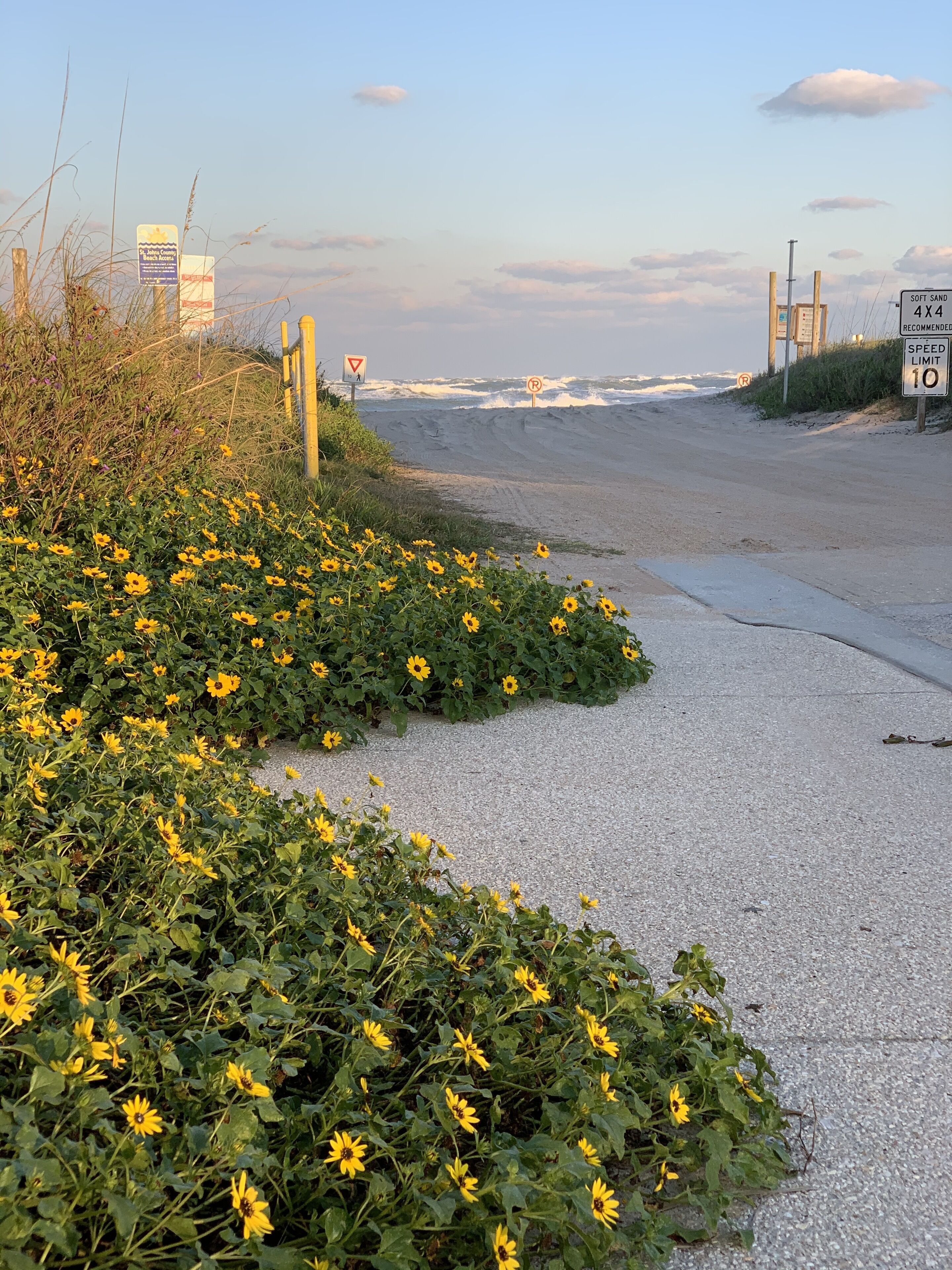 A coastal road with a speed limit sign, a parking sign, and a sign indicating soft sand conditions.