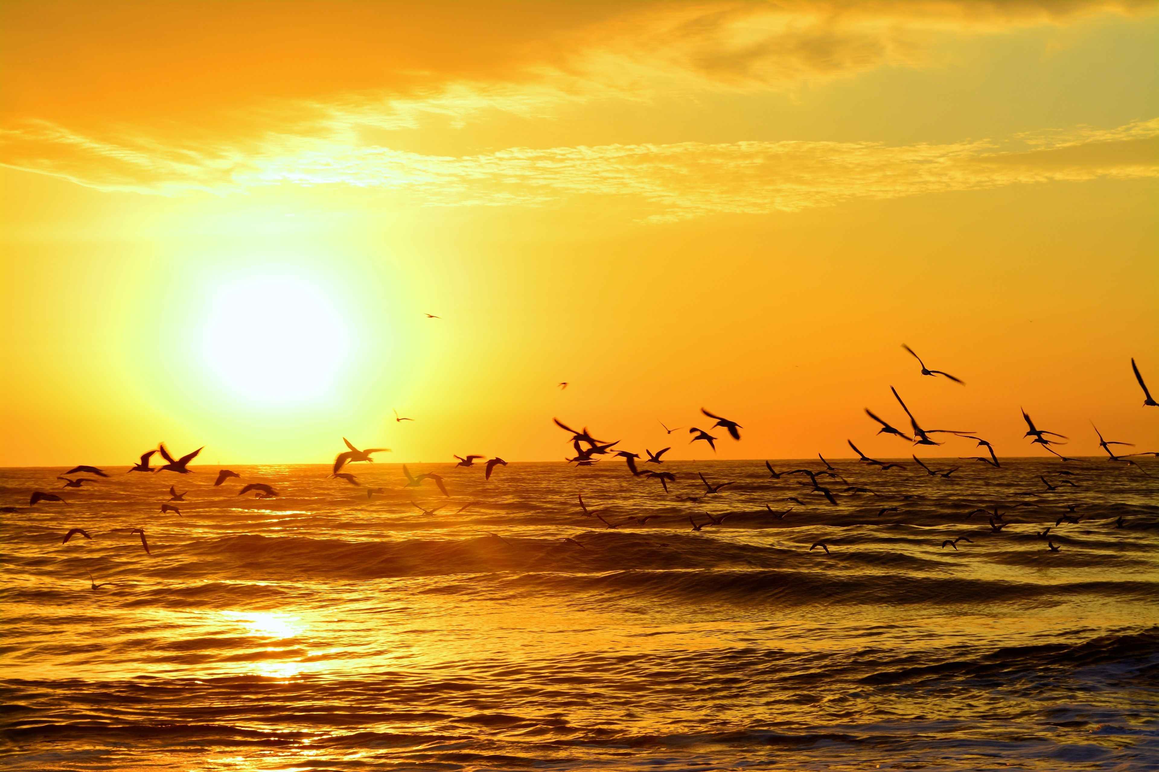 on the beach, sun-loungers, beach umbrellas, beach towels