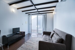 Flat-screen TV