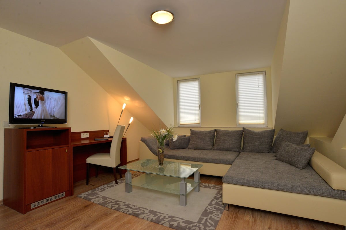 Appartement (S) | Hypoallergeen beddengoed, een minibar, een kluis op de kamer, een bureau