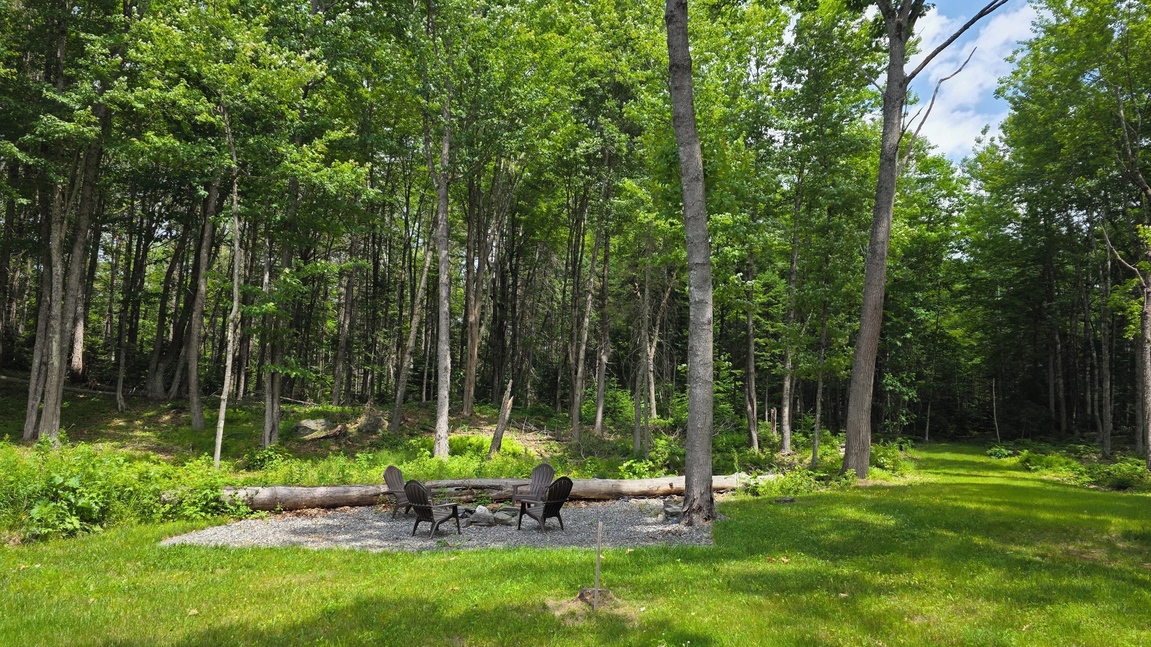 Cottage | Uitzicht op de tuin