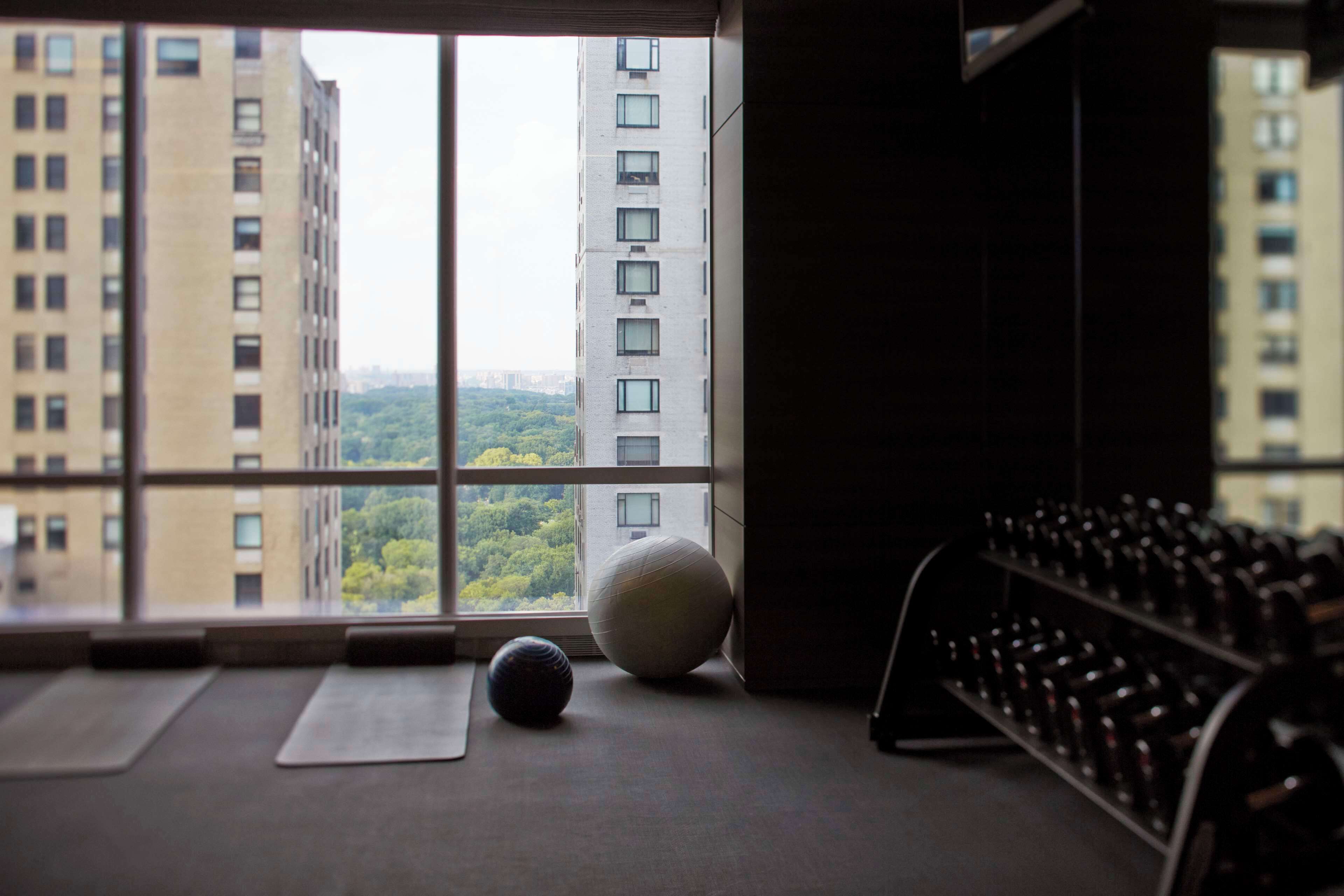 A room with a large window, exercise balls, and a rack of dumbbells.