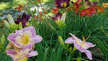 Vue depuis lâhĂ©bergement