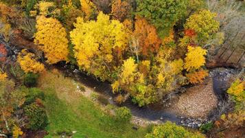 A river flowing through a forest with autumn foliage.