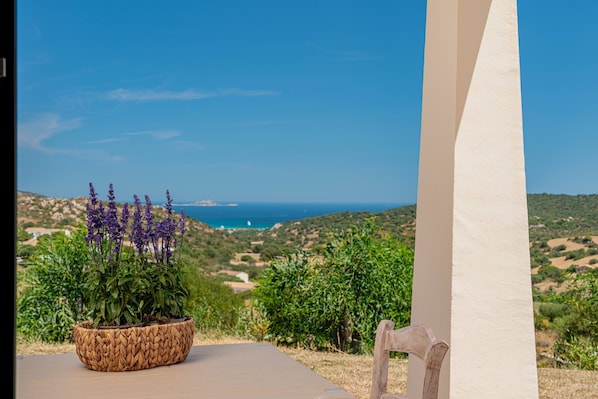 Una planta en maceta con flores moradas en una terraza con vistas al paisaje costero.