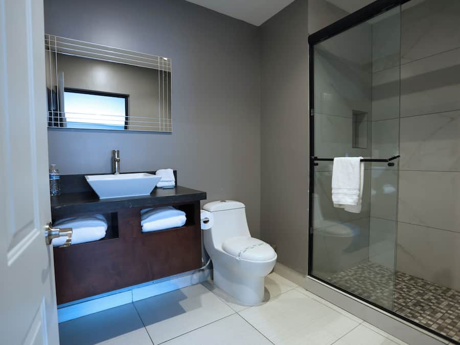 Habitación Business | Baño | Ducha y cabezal de ducha tipo lluvia