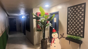 Un couloir orné d’une plante en pot, d’une décoration représentant un bonhomme de neige et d’un jardinière fixée au mur.