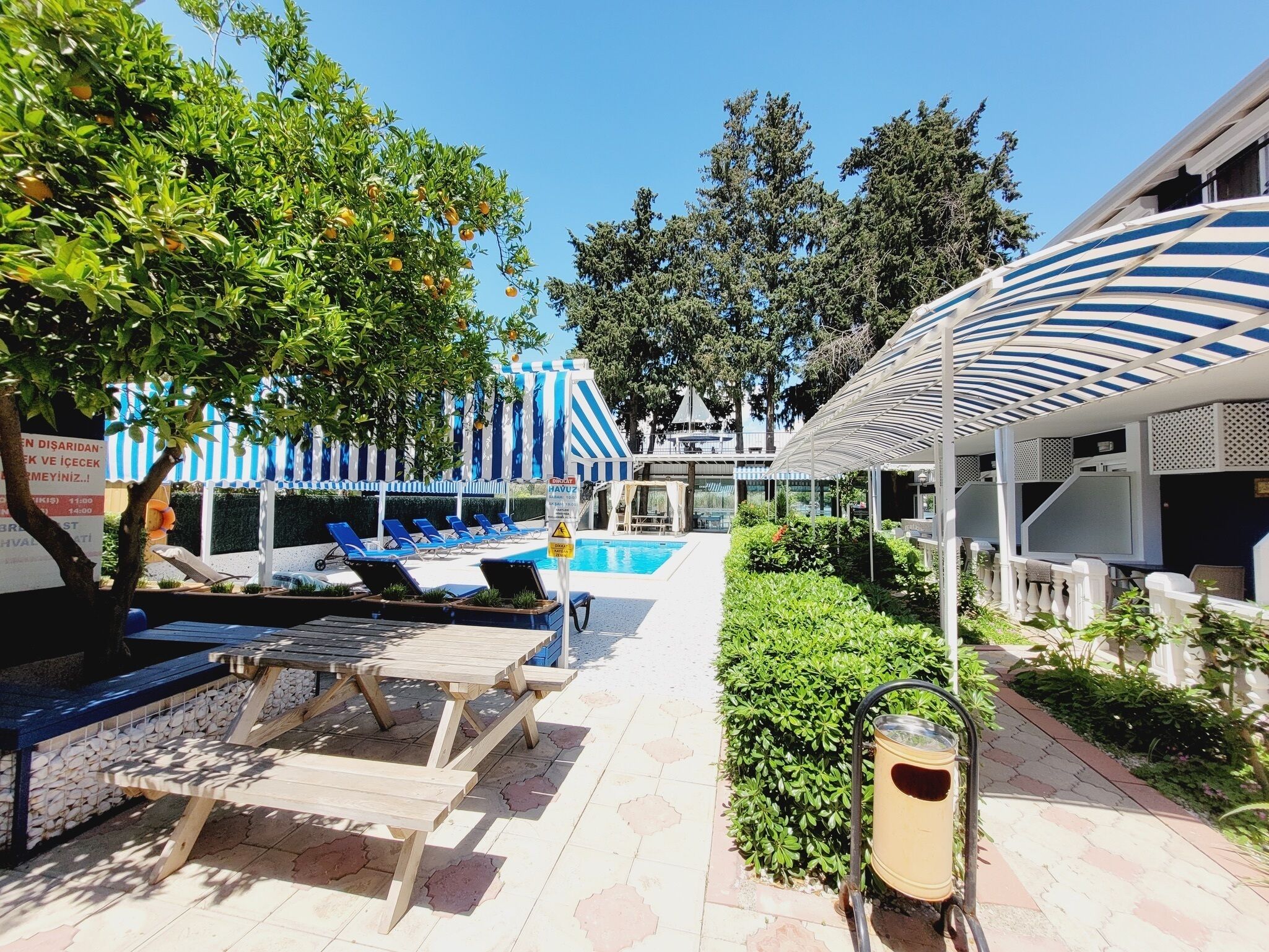 Outdoor pool, pool loungers