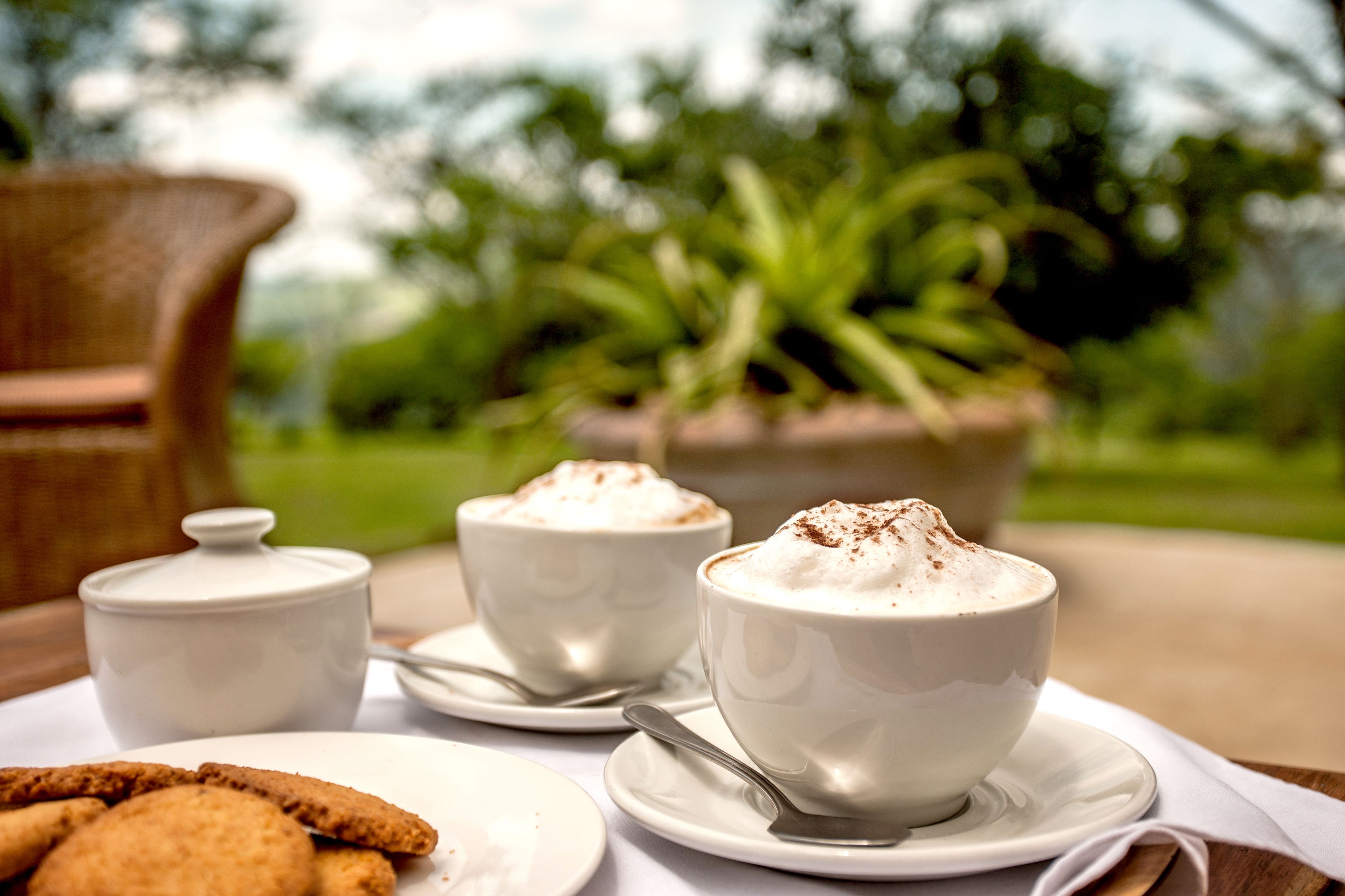 Una mesa con dos tazas blancas de café, una taza pequeña blanca y un plato de galletas.