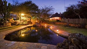 Un espace extérieur aménagé pour la nuit, avec un bassin, un sentier en pierre, des cactus et un bâtiment illuminé.