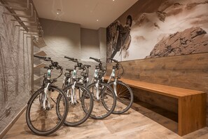 Bicycling - Aparthotel Andreas Hofer (Kufstein)