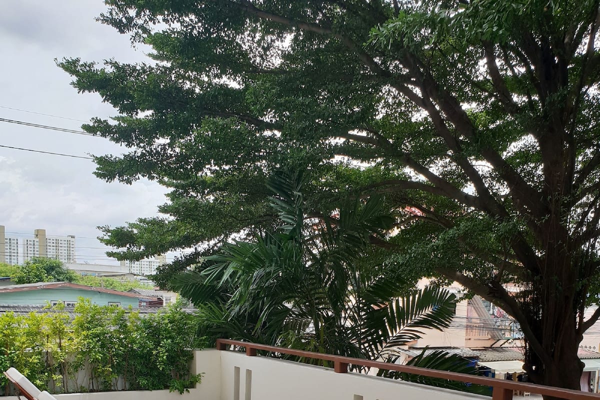 Una terraza en la azotea con sillones de madera y un árbol grande.