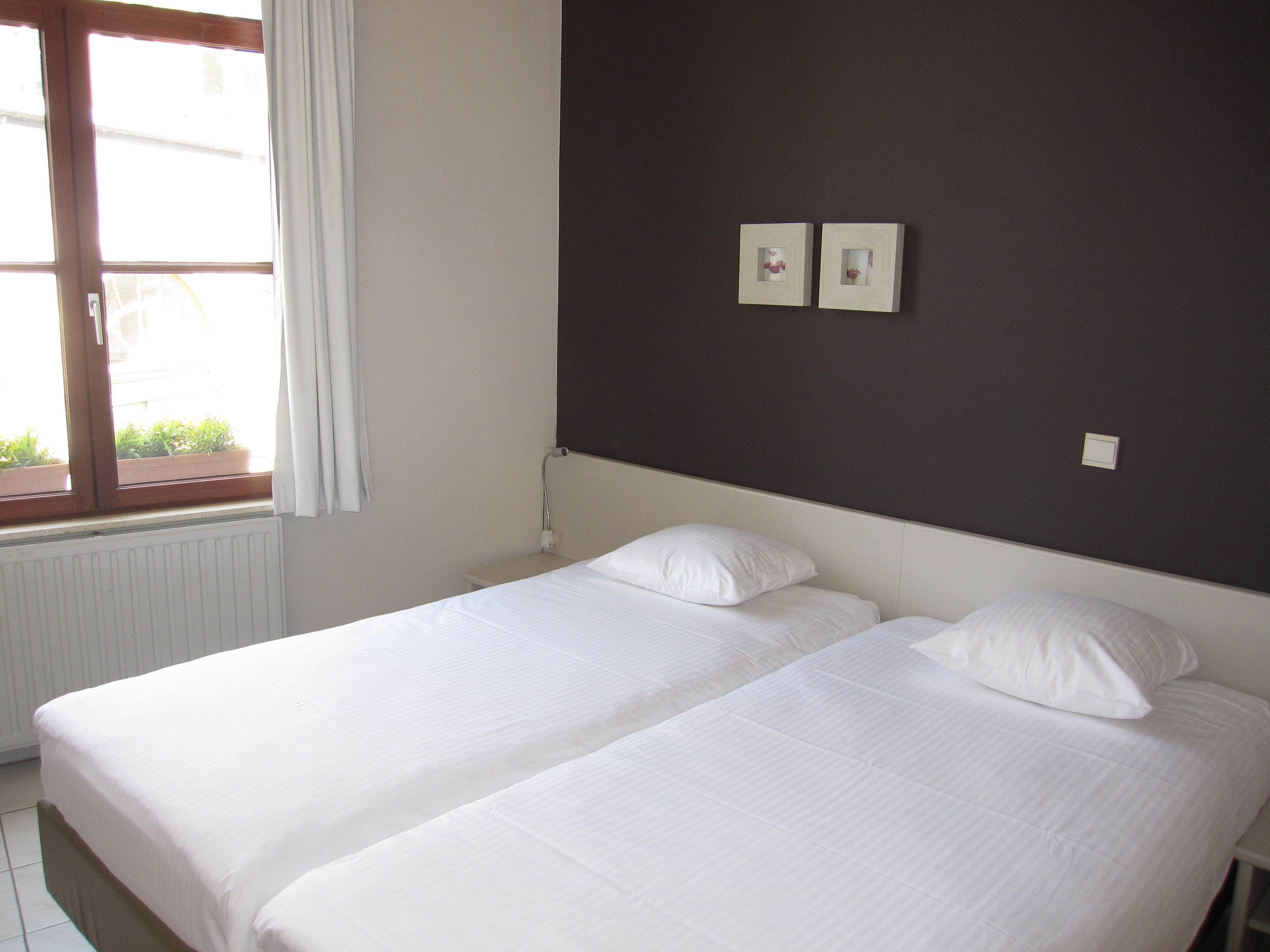 Cama doble con sábanas blancas en una habitación con pared marrón oscuro, una ventana con cortinas y dos pequeños cuadros enmarcados.