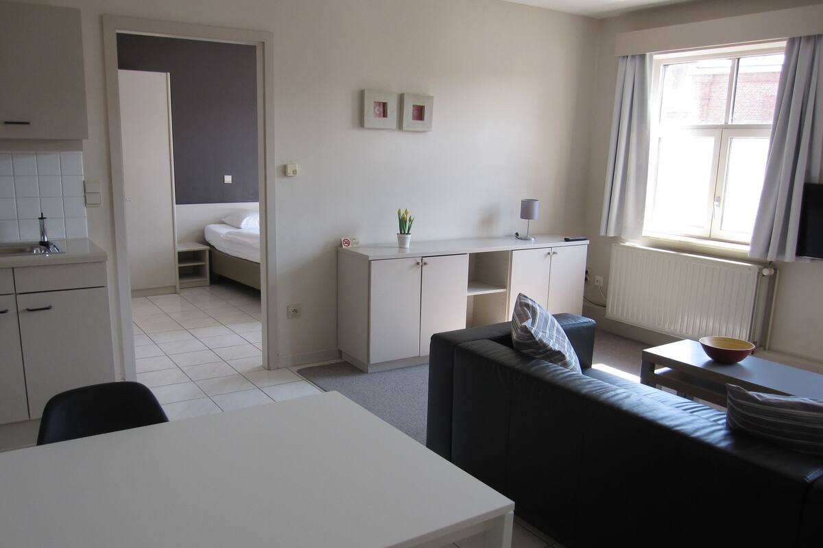 A compact living space with a kitchenette, a bed, a sofa, and a dining area.