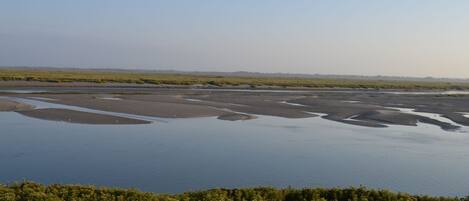 A coastal landscape with a large body of water, sandy areas, and dense greenery in the foreground.
