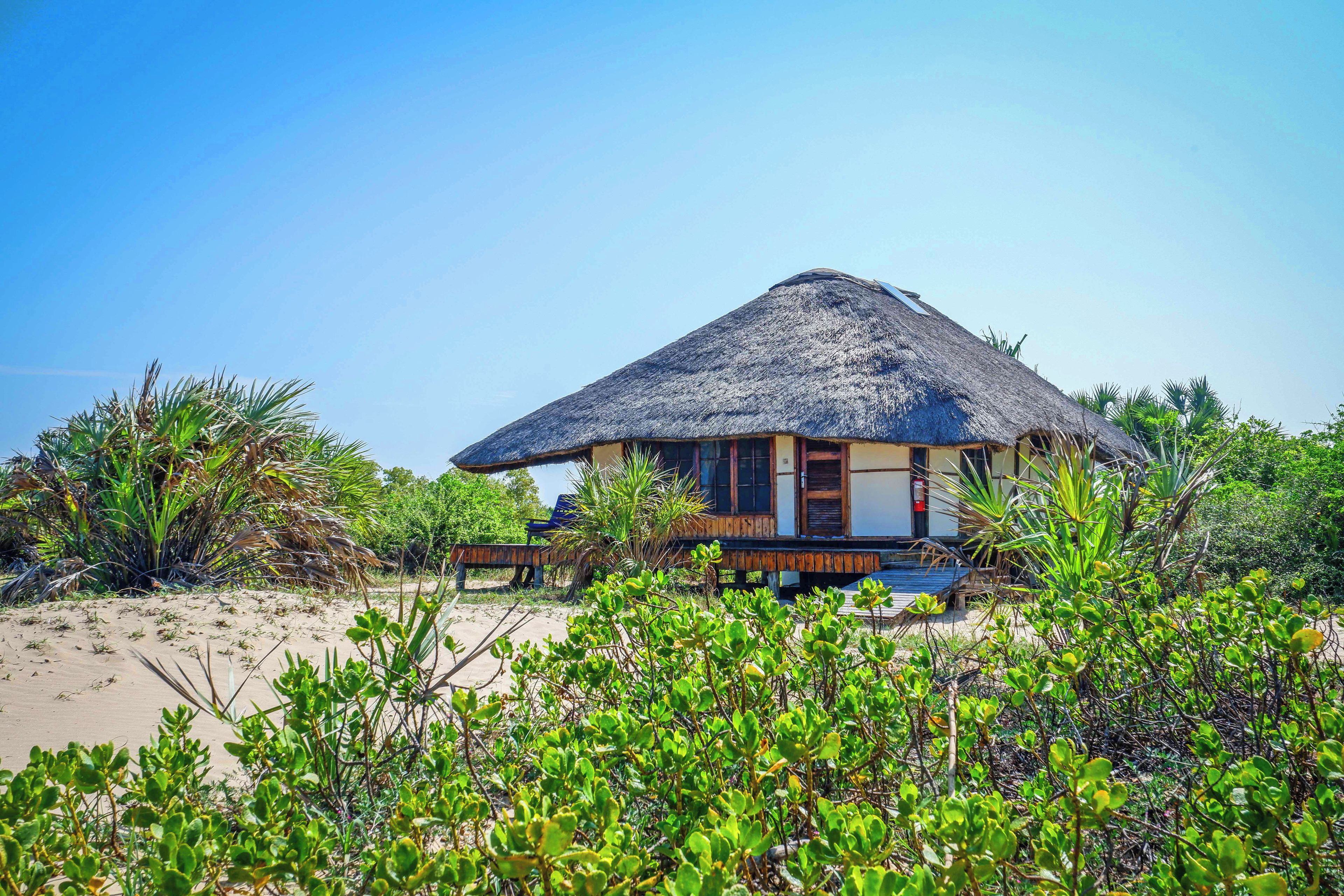 A thatched-roof bungalow with a wooden deck and a small pool, surrounded by tropical vegetation.