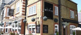 The Stag Enfield