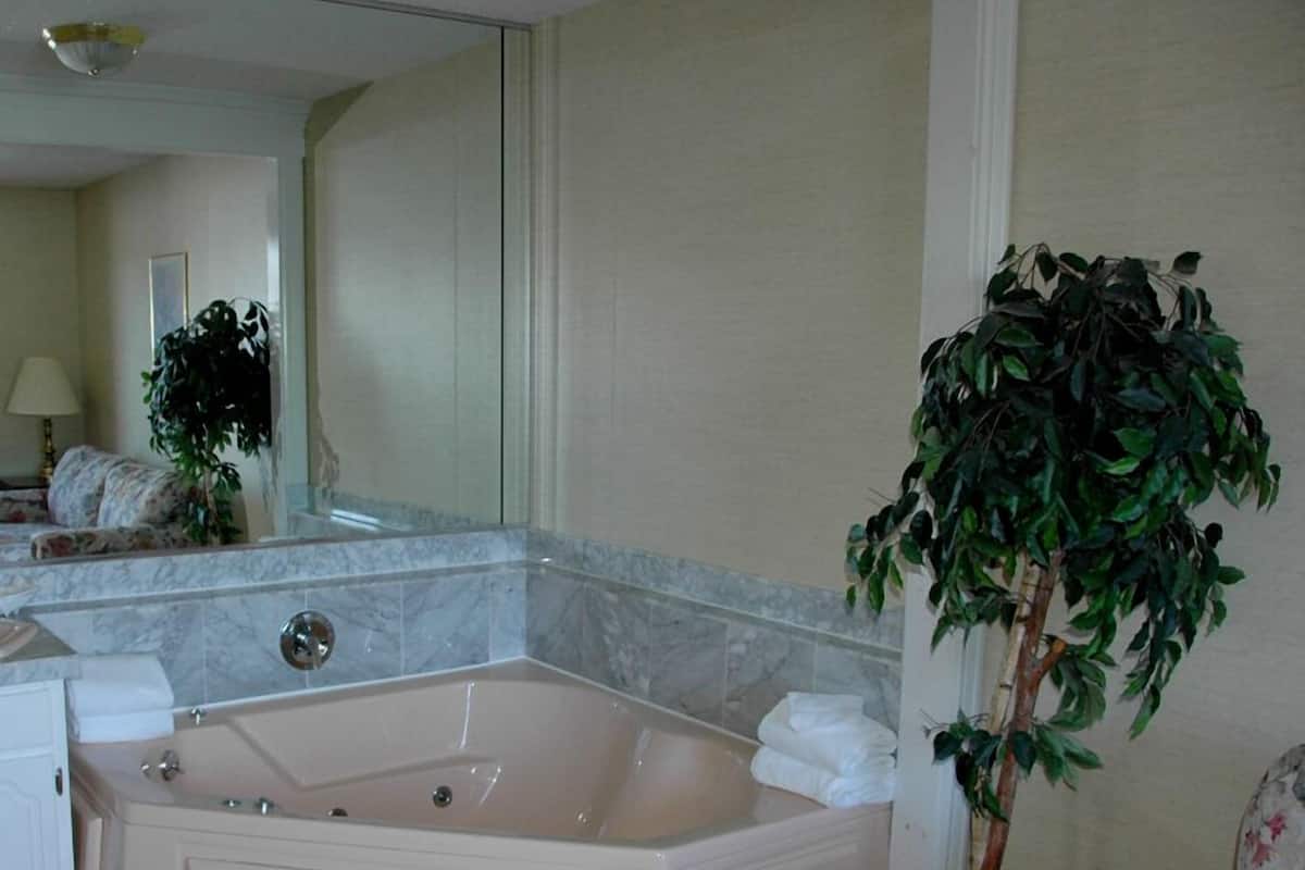 A bathroom with a large bathtub, a mirror, a potted plant, and a floral chair.