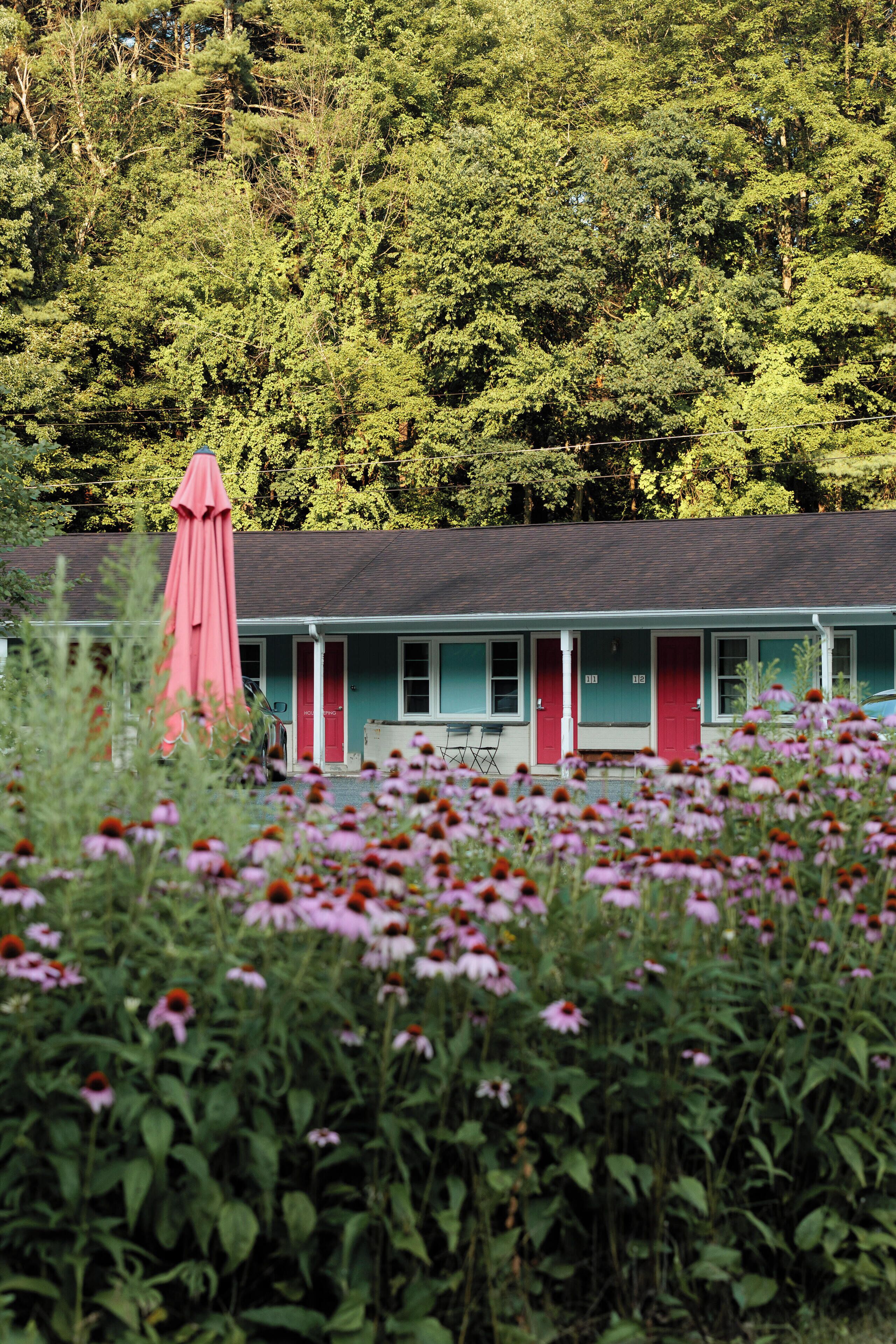 Et motel med røde døre og vinduer, omgivet af et marker med lyserøde blomster og grøn vegetation.