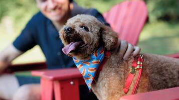 Une personne assise sur une chaise rouge à l’extérieur, avec un chien portant un bandana.