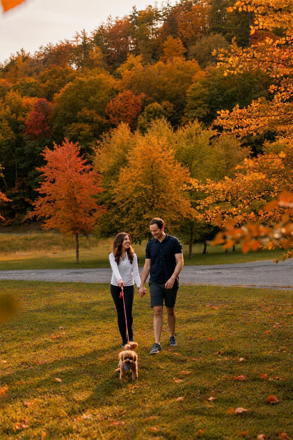 Una pareja pasea un perro en un parque con follaje otoñal.