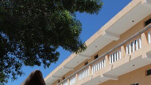 Un hotel con una estructura de techo de paja, un pasillo con alfombra roja y una cerca blanca.