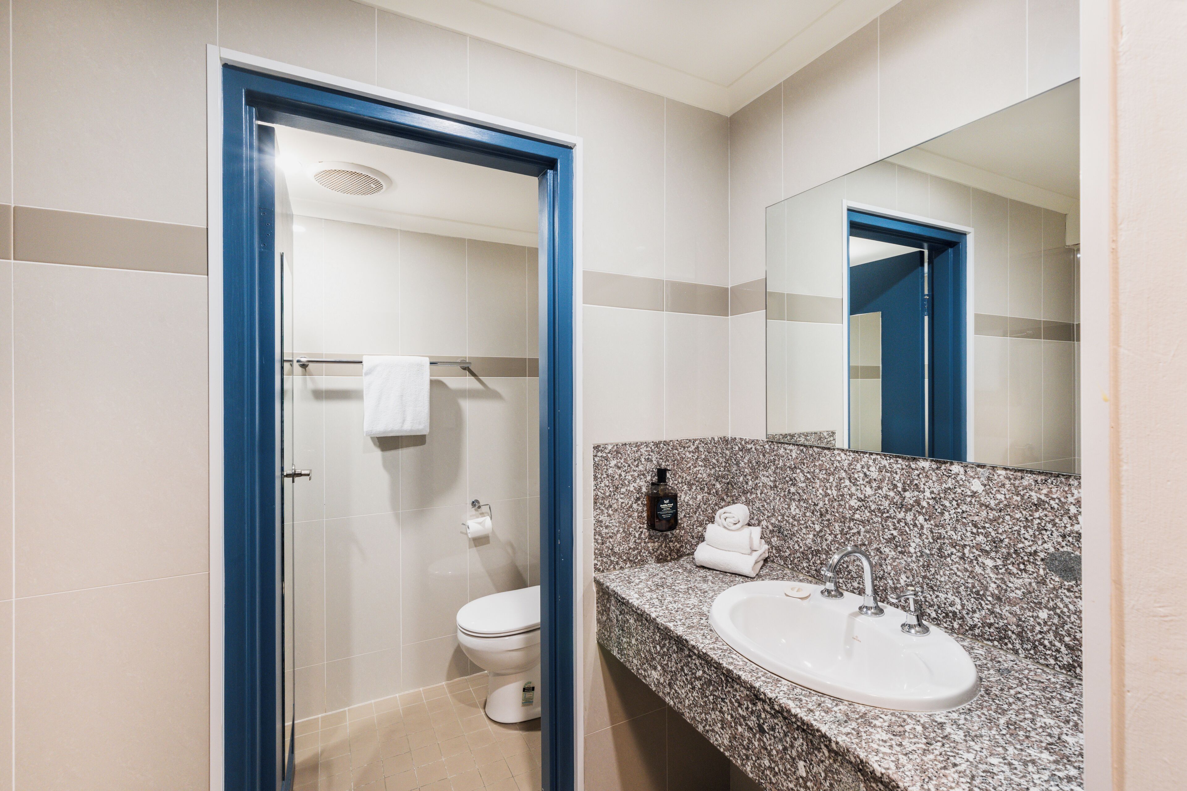 A modern bathroom with a glass shower door, a white toilet, a granite countertop sink, and a large mirror.