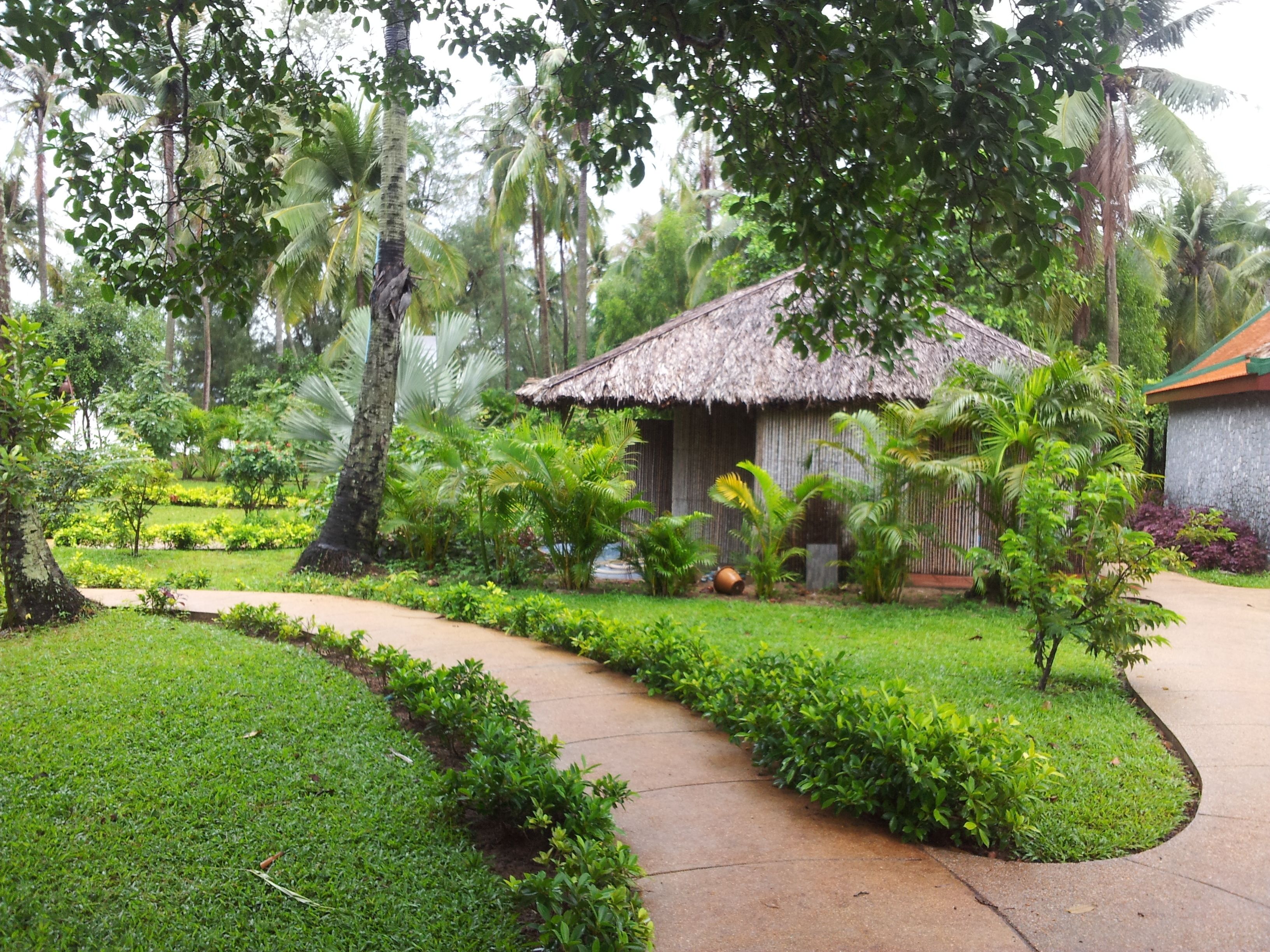 A thatched-roof hut surrounded by lush greenery and a paved pathway.