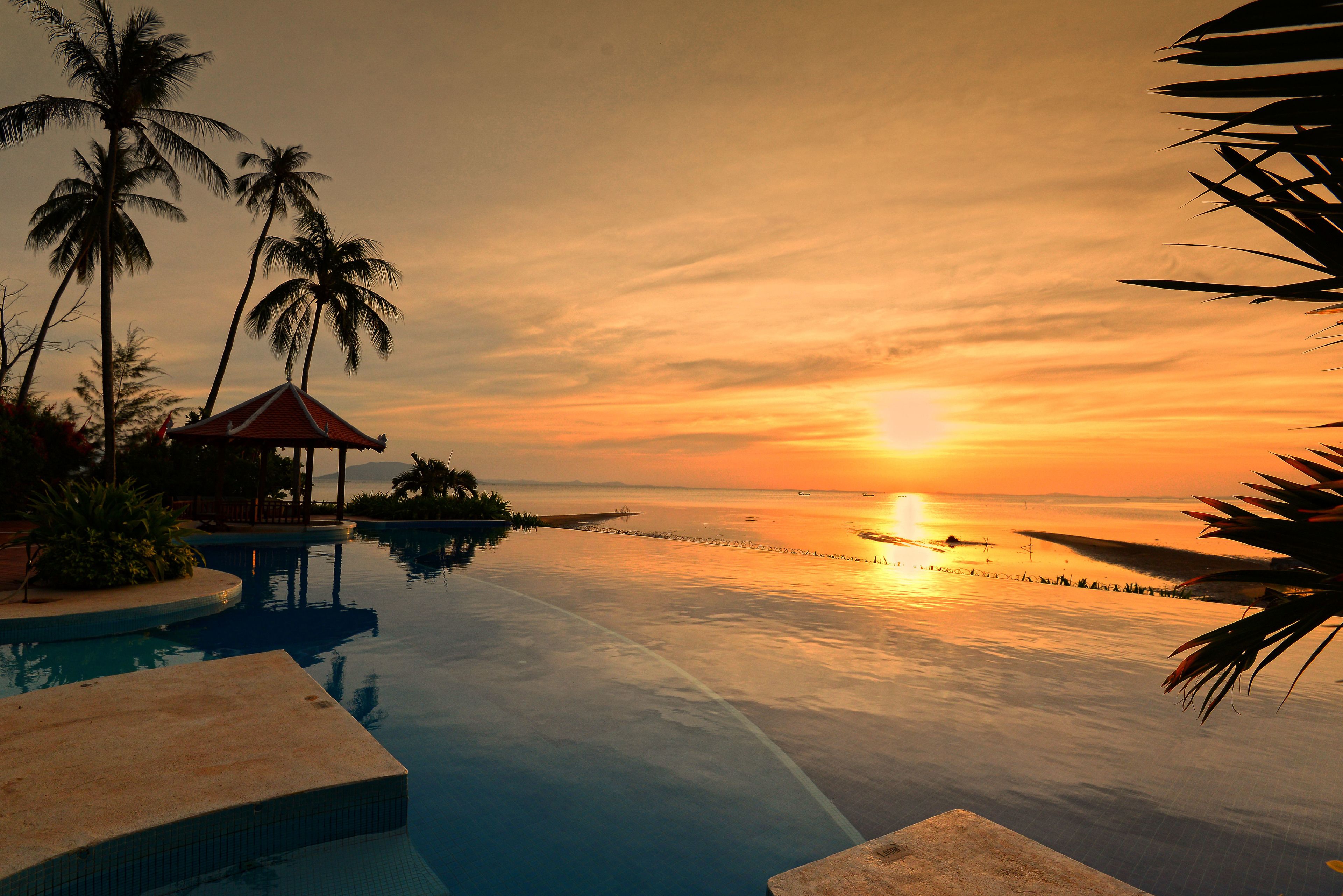 Outdoor pool, pool umbrellas, pool loungers