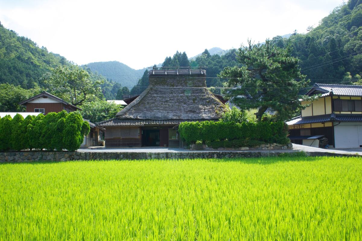 A traditional Japanese building with a tiled roof, surrounded by lush greenery and a rice field.