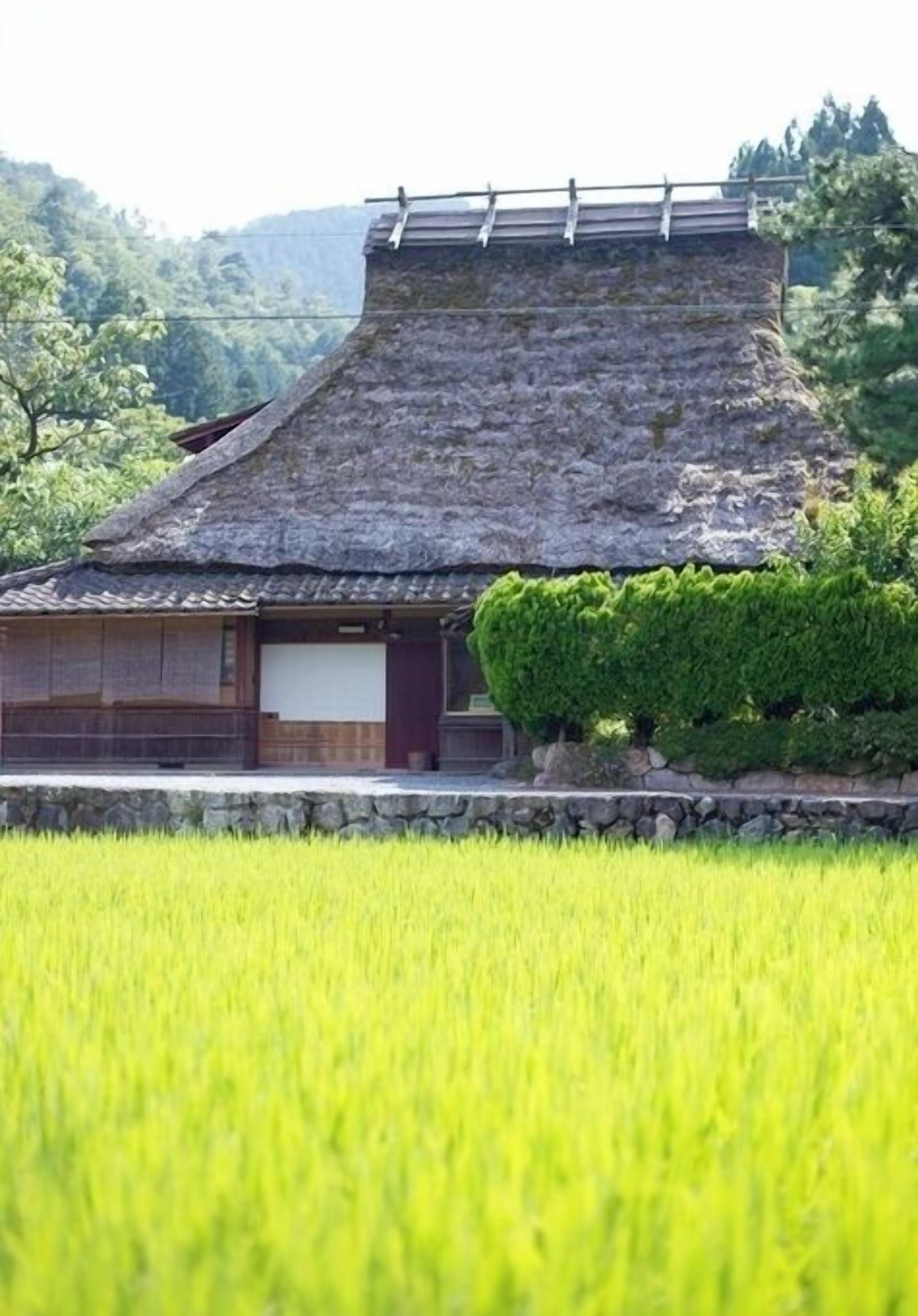 外觀