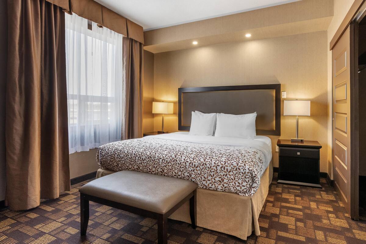 A hotel room with a large bed, a bedside table with a lamp, a bench, and a window with curtains.