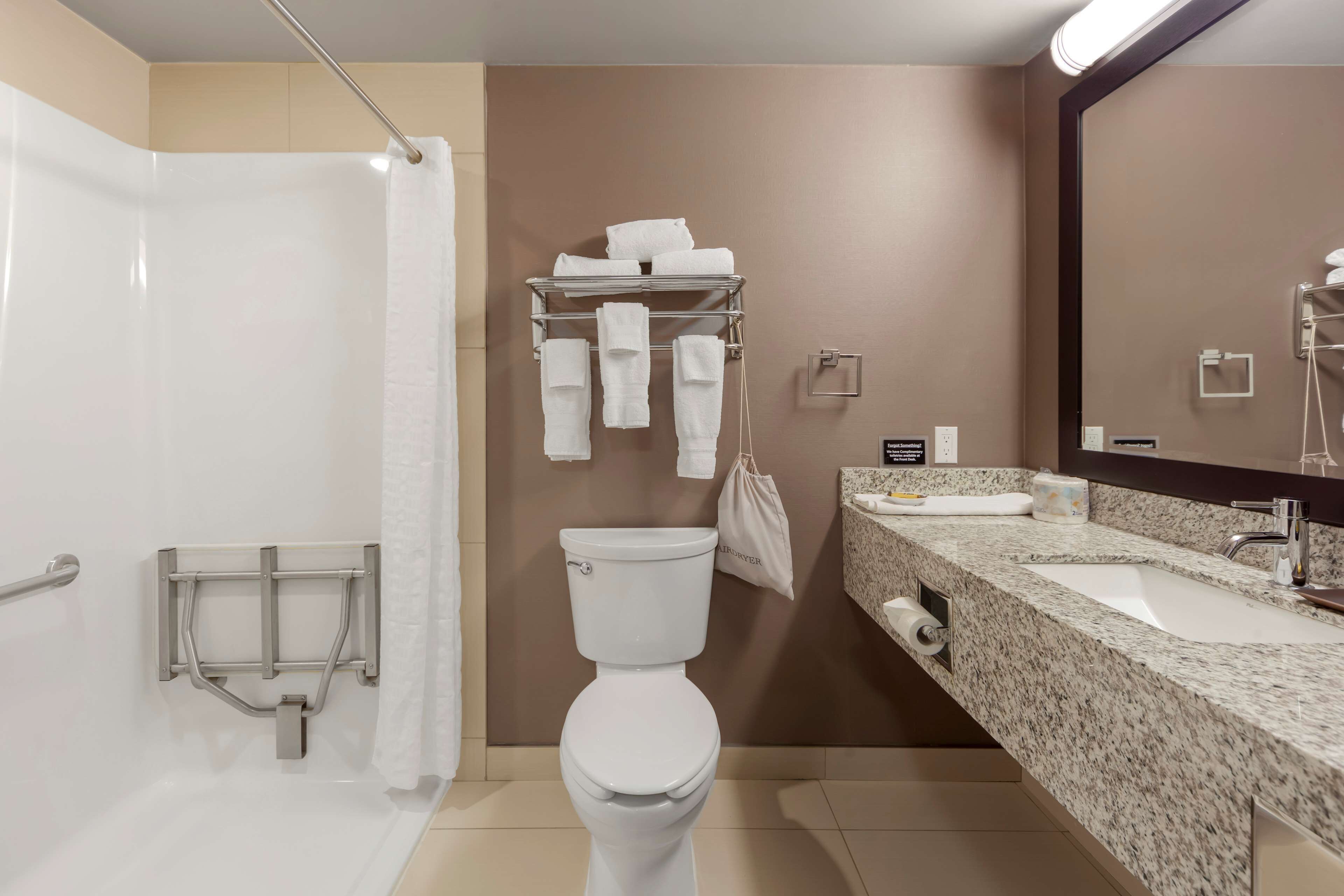 standard room, 1 king bed, accessible, non smoking | bathroom | combined shower/bathtub, free toiletries, hair dryer, towels